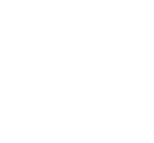 icon-white 2025