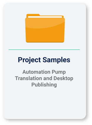 Automation Pump Translation and Desktop Publishing Project Samples