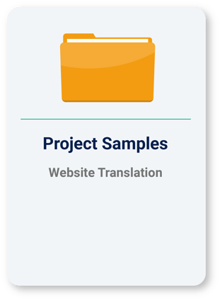 Website Translation Project Samples